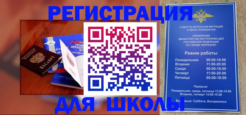 прописка для работы в Кашине